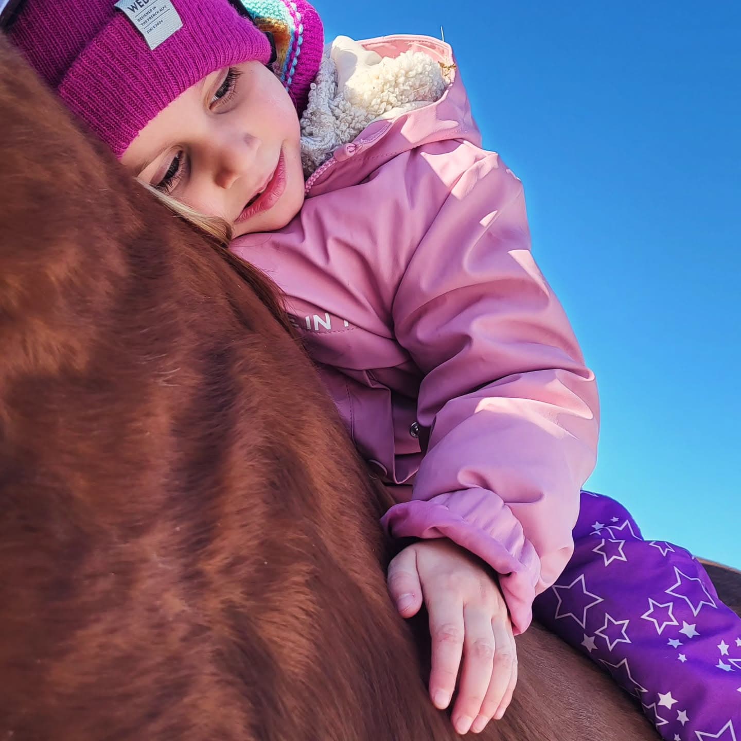 A girl smiles as she rests against a chestnut horse's mane, under a clear blue sky.