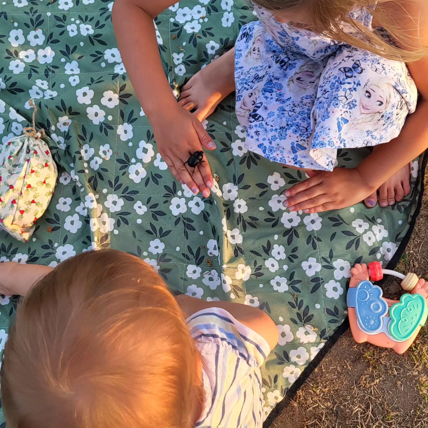 Children on a blanket in the grass, one holding a beetle on their palm.